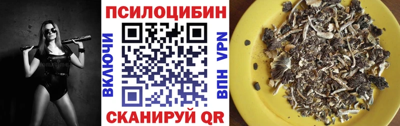 наркошоп  Малоярославец  мега ССЫЛКА  Галлюциногенные грибы Magic Shrooms 