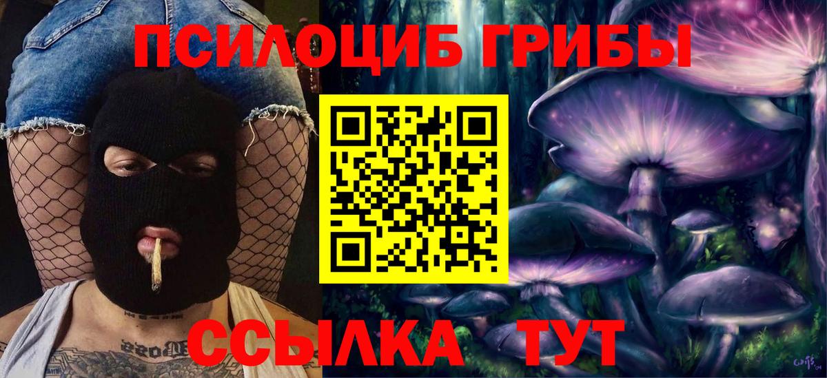 Галлюциногенные грибы Cubensis Малоярославец