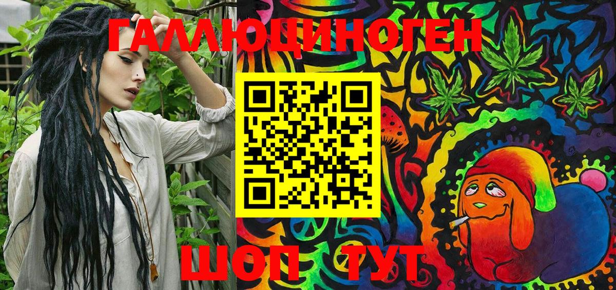 Малоярославец  Галлюциногенные грибы Cubensis  Вход с VPN 